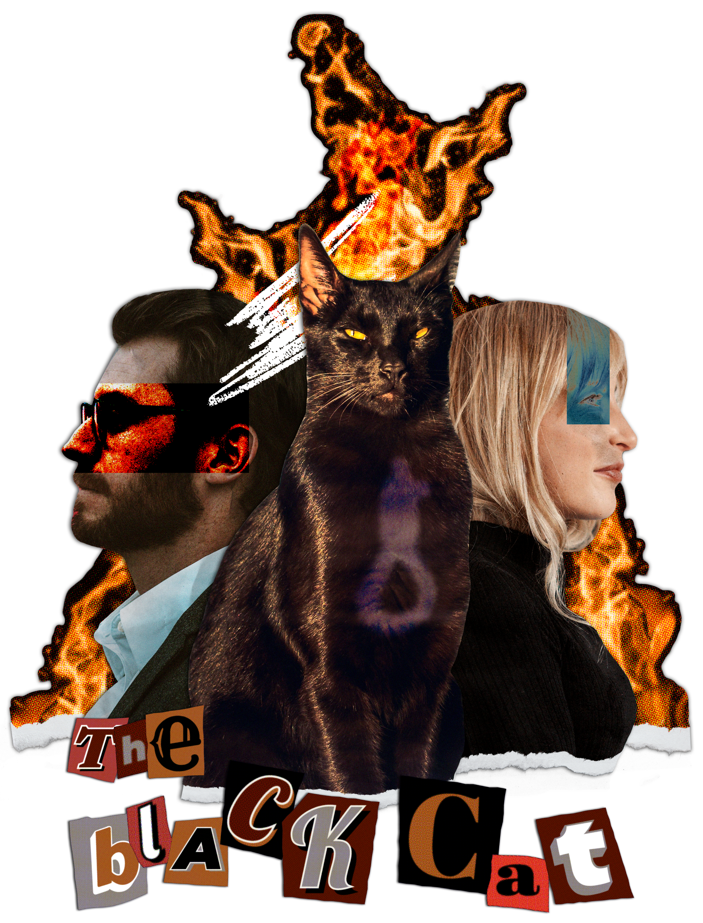 Cover graphic for The Black Cat eBook