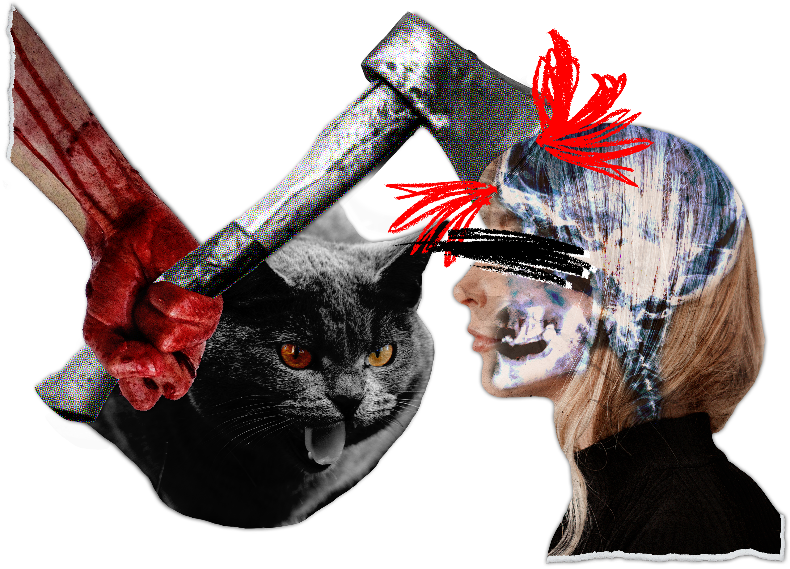 Image of Woman Having Her Head Smashed in With an Axe as a Cat Hisses into the Distance